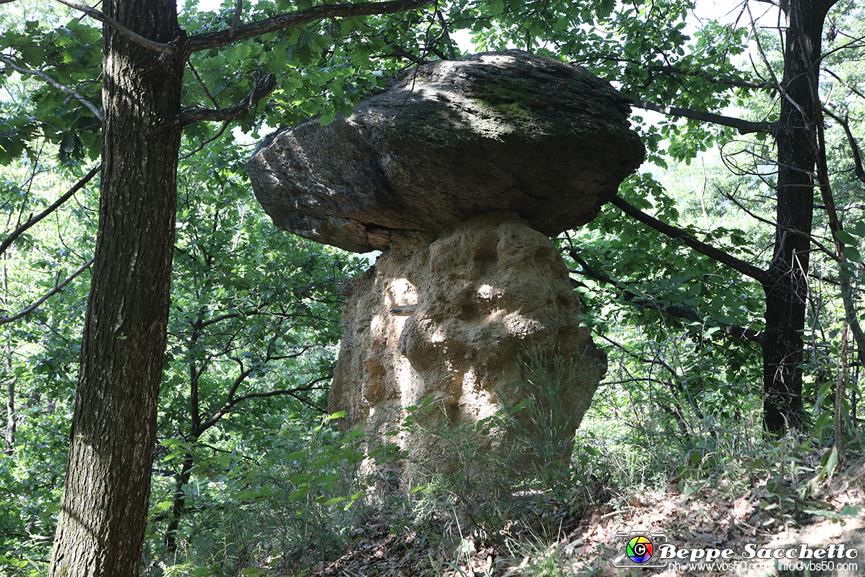 VBS_8979 - I Ciciu del Villar. Villar San Costanzo. Val Maira (Cuneo).jpg